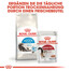 ROYAL CANIN Indoor long hair 35 4 kg nourriture sèche pour chats adultes à poils longs, exclusivement à l'intérieur