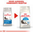 ROYAL CANIN Indoor long hair 35 4 kg nourriture sèche pour chats adultes à poils longs, exclusivement à l'intérieur