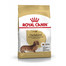 ROYAL CANIN Dachshund adult 0.5 kg nourriture sèche pour chiens teckels adultes