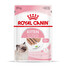ROYAL CANIN Kitten mousse 12x85g