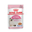 ROYAL CANIN Cat instinctive kitten 85 g