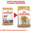 ROYAL CANIN Bulldog Adult aliments secs pour chiens bulldogs adultes 3 kg