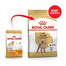 ROYAL CANIN Poodle adult 0.5 kg nourriture sèche pour caniches miniatures adultes