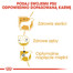 ROYAL CANIN Poodle adult 0.5 kg nourriture sèche pour caniches miniatures adultes