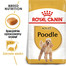 ROYAL CANIN Poodle adult 0.5 kg nourriture sèche pour caniches miniatures adultes