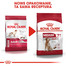 ROYAL CANIN Medium adult 7+ nourriture sèche pour chiens de plus de 7 ans, races moyennes 10 kg