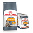 ROYAL CANIN Hair&Skin Care 10 kg +  Intense BEAUTY en sauce 85 g x 12