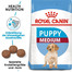 ROYAL CANIN Medium Puppy 30 kg (2 x 15 kg) nourriture sèche pour chiots, de 2 à 12 mois, races de taille moyenne