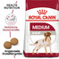 ROYAL CANIN Medium adult 18 kg - Aliment complet pour chiens adultes de race moyenne