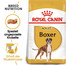 ROYAL CANIN Boxer Adult - Croquettes pour chiens Boxer adultes - 24 kg (2x12 kg)