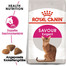 ROYAL CANIN Exigent Savour - Croquettes pour chats adultes difficiles - 20 kg (2x10 kg)
