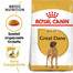 ROYAL CANIN Great Dane Adult Aliments secs pour dogues allemands adultes 24 kg (2x12 kg)