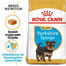 ROYAL CANIN Yorkshire Terrier Junior - Croquettes pour chiots jusqu'à 10 mois de race Yorkshire Terrier - 15 kg (2x7.5 kg)