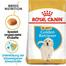 ROYAL CANIN Golden Retriever Puppy Junior 2 x 12 kg