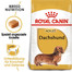 ROYAL CANIN Nourriture sèche pour teckel adulte 15 kg (2 x 7.5 kg)