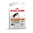 ROYAL CANIN Sporting L Life Agility 4100 nourriture sèche pour chiens adultes, grandes races, actifs 30 kg (2 x 15 kg)