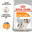 ROYAL CANIN CCN Mini Coat Care Aliment sec pour petites races adultes au pelage terne 16 kg (2x8 kg)