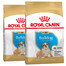 ROYAL CANIN Bulldog Puppy 24 kg (2 x 12 kg) aliment sec pour chiots jusqu'à 12 mois, race bulldog anglais
