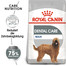 ROYAL CANIN CCN Maxi Dental Care Aliment sec pour grandes races adultes pour réduire la formation de tartre 18 kg (2x9 kg)