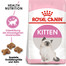 ROYAL CANIN Kitten 20 kg (2 x 10 kg) aliments secs pour chatons de 4 à 12 mois