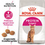 ROYAL CANIN Protein Exigent - Croquettes pour chats adultes difficiles - 20 kg (2x10 kg)