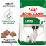 ROYAL CANIN Mini Adult 8+ Aliment sec pour chiens âgés à partir de 8 ans de petites races 16 kg (2 x 8 kg)