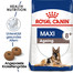ROYAL CANIN Maxi Ageing 8+ 30 kg (2 x 15 kg) nourriture sèche pour chiens adultes de grande race âgés de plus de 8 ans