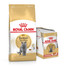 ROYAL CANIN British Shorthair - nourriture sèche pour chats adultes British Shorthair - 10kg + nourriture humide 12x85g