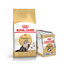 ROYAL CANIN Persian Adult 10 kg + Persian Nourriture humide 12x85 g