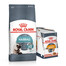 ROYAL CANIN Hairball Care 10 kg + aliments humides Intense BEAUTY en sauce 85 g x 12