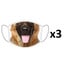 FERA 3x Masque de protection Berger allemand