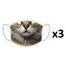 FERA 3x Masque de protection Cat