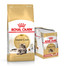 ROYAL CANIN Maine Coon Adult 10 kg + Nourriture humide Maine Coon 12x85 g
