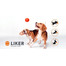 LIKER Dog toy balle pour chien 7 cm