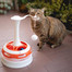 FERPLAST Tornado jouet interactive pour chat