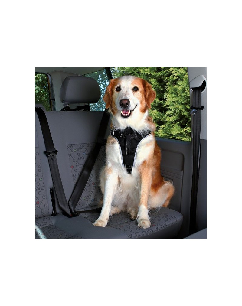 Harnais et ceinture sécurité en voiture pour chien - TRIXIE