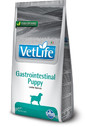 FARMINA VetLife Dog Puppy Gastrointestinal Puppy - Nourriture gastro-intestinale pour chiots - 12 kg