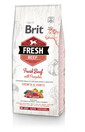 BRIT Fresh beef with pumpkin puppy large - Boeuf frais & citrouille pour chiot de grandes races - 12 kg