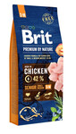 BRIT Premium By Nature Senior Small Medium S+M - Poulet pour chiens âgés de petites et moyennes races - 15 kg