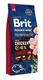 BRIT Premium By Nature Senior Large Extra Large L+XL - Poulet pour chiens âgés de grandes et très grandes races - 15 kg