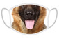 FERA Masque de protection berger allemand