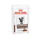 ROYAL CANIN Veterinary Diets Cat Gastrointestinal Moderate Calorie - nourriture humide pour les chats souffrant de troubles gastro-intestinaux et d'une tendance à l'embonpoint - 12 x 85 g