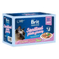 BRIT Premium by Nature Cat Delicate Fillets in Gravy Family Plate Sterilised 12x85g nourriture humide en sauce pour les chats stérilisés adultes