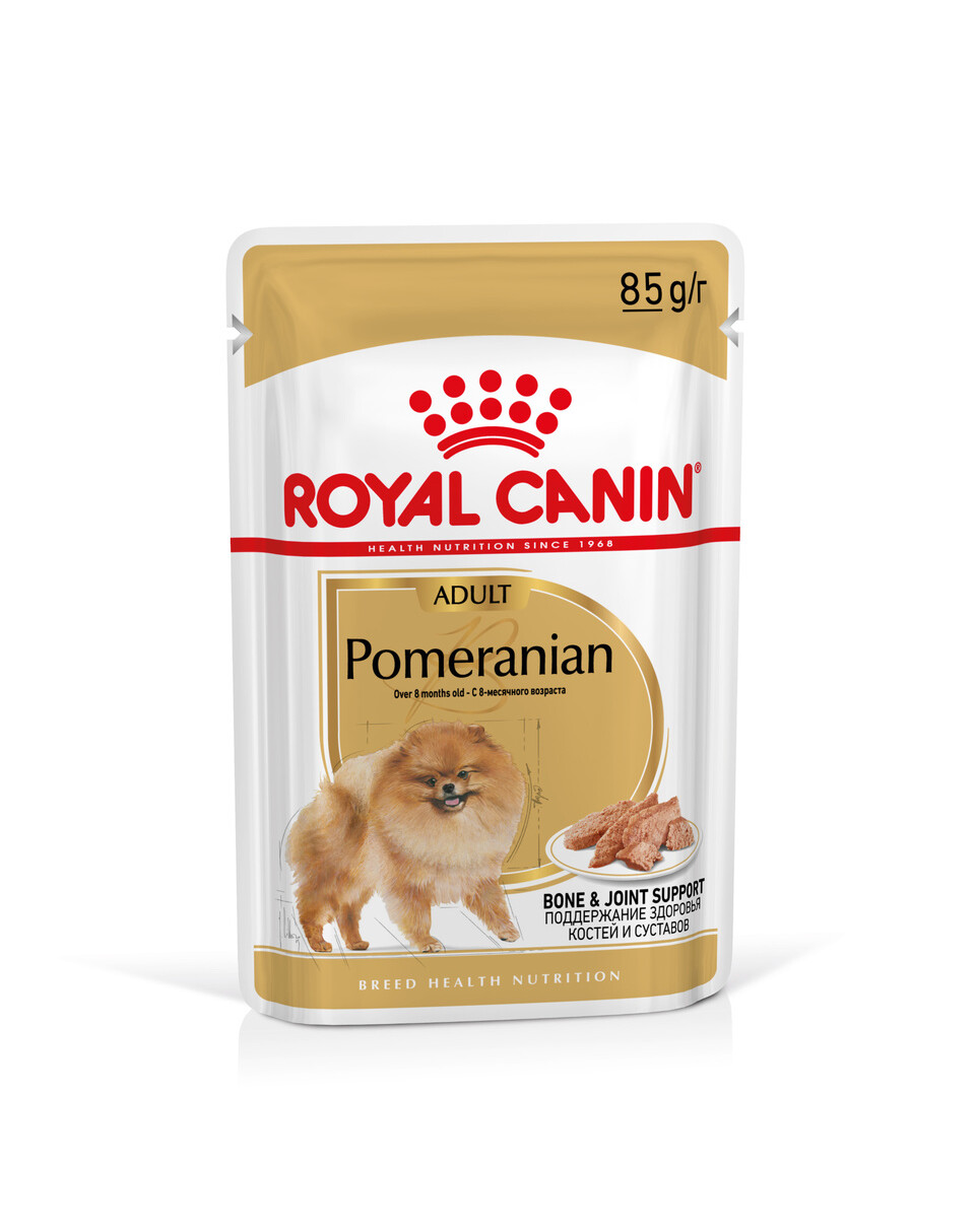 Spitz nain  Royal Canin FR